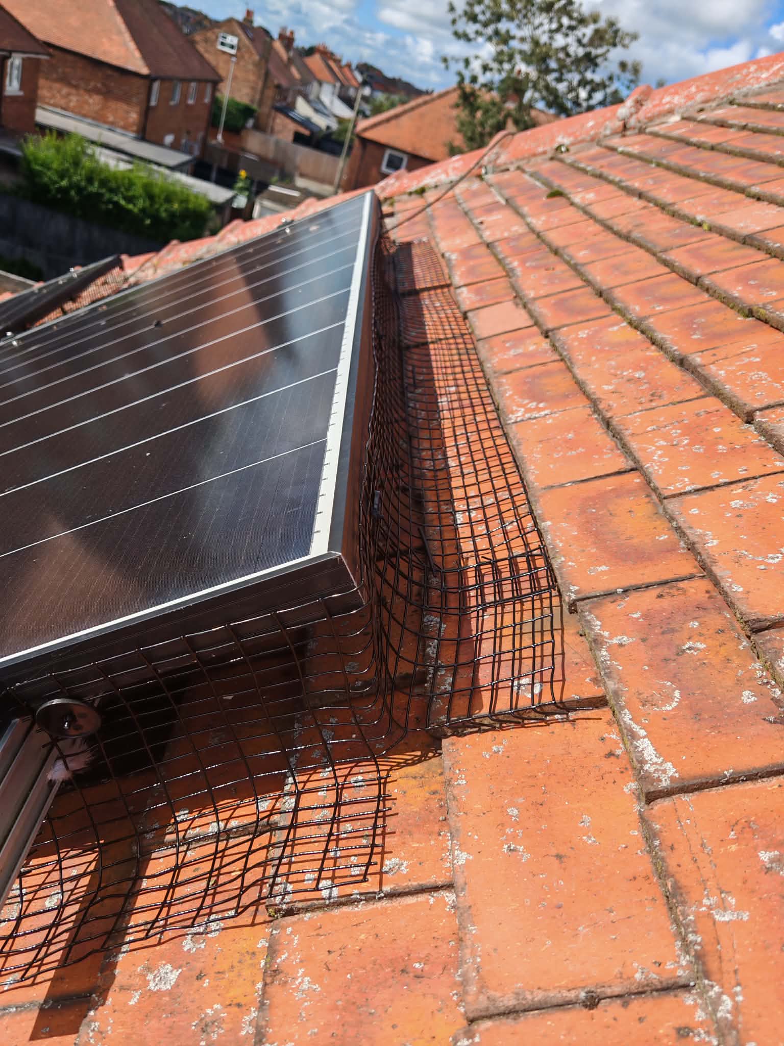 Roof Moss Removal
